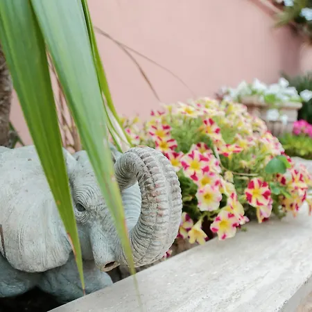 Erasi Guest house Fiumicino